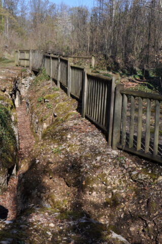 DSC_0141